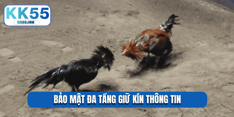 Bảo mật đa tầng giữ kín thông tin