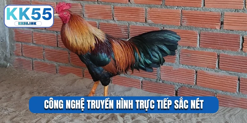 Công nghệ truyền hình trực tiếp sắc nét
