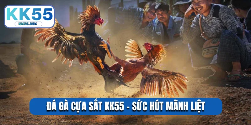 Đá gà cựa sắt