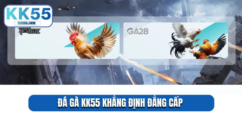 Đá gà KK55 khẳng định đẳng cấp 