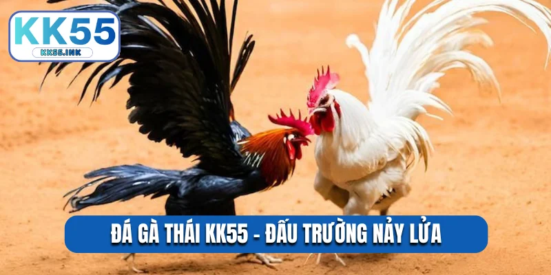 Đá gà Thái