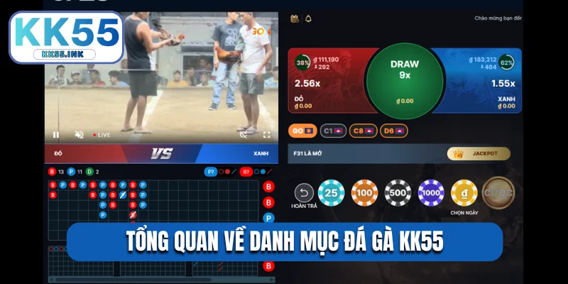 Tổng quan về danh mục đá gà KK55