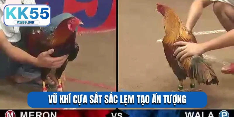 Vũ khí cựa sắt sắc lẹm tạo ấn tượng